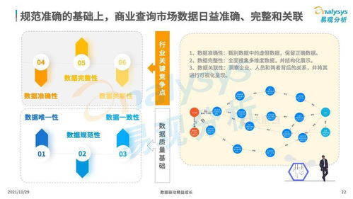 中國(guó)商業(yè)查詢市場(chǎng) 賦能企業(yè)決策，鑄就商業(yè)信任新時(shí)代