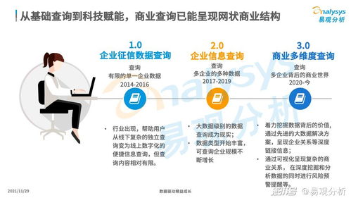 商業查詢已成社會信用基石，中國商業查詢市場發展機遇與企業在咨詢服務下的市場策略